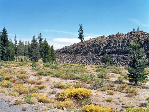 Edge of the lava flow