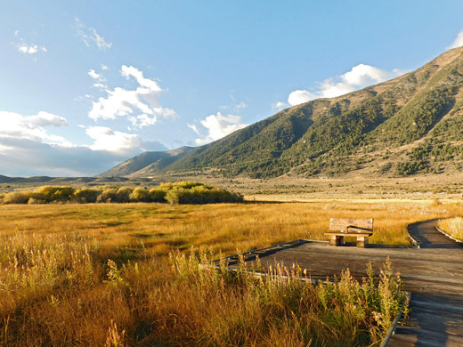 Grassy flats at Mono Lake