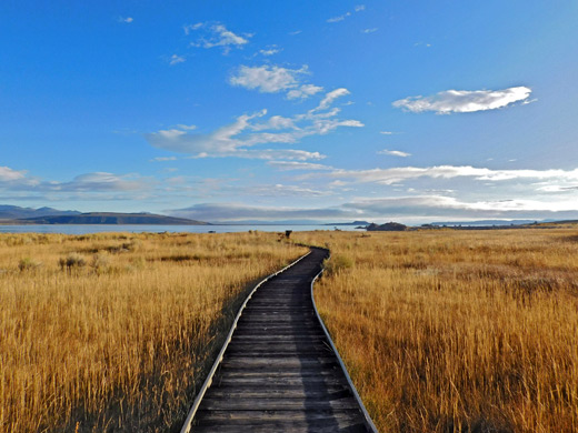 Trail to the lake