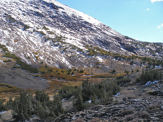 The north slope of Mt Lewis