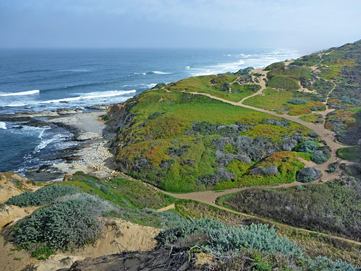 Grassy dunes