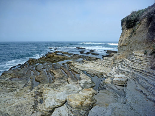 Edge of the coastal bluffs, south of Hazard Reef