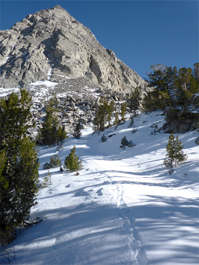 Snow along the trail to Morgan Pass