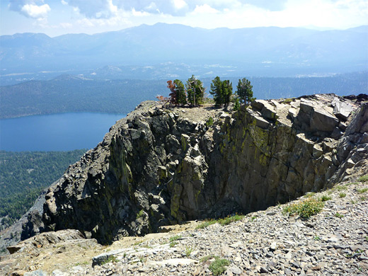 Trees near the summit