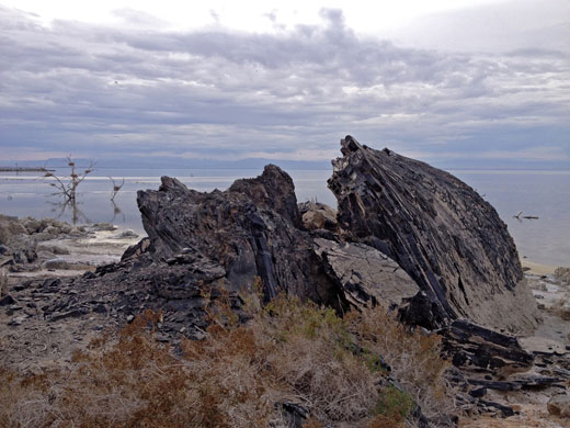 Obsidian beside the lake - at Obsidian Butte