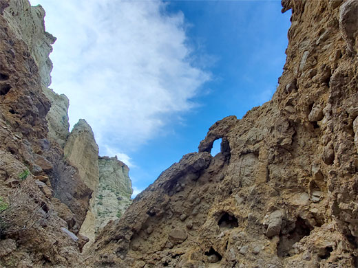 Arch