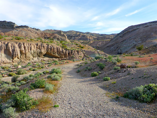 Shallow streambed