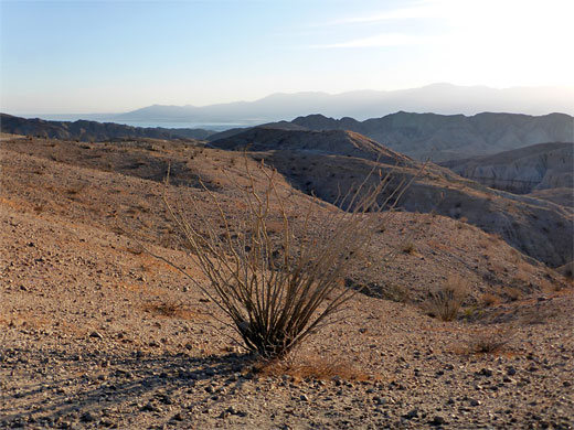 Salton Sea