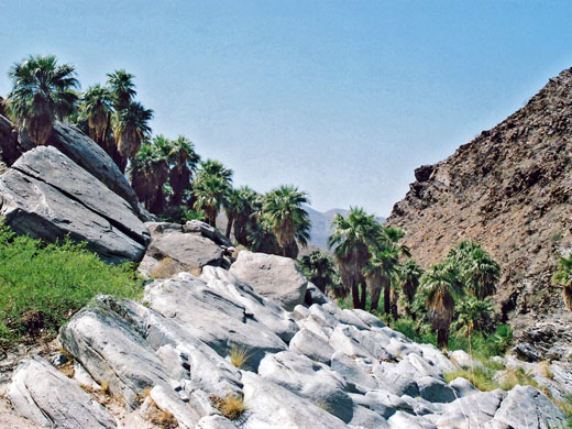 Granite boulders in Palm Canyon