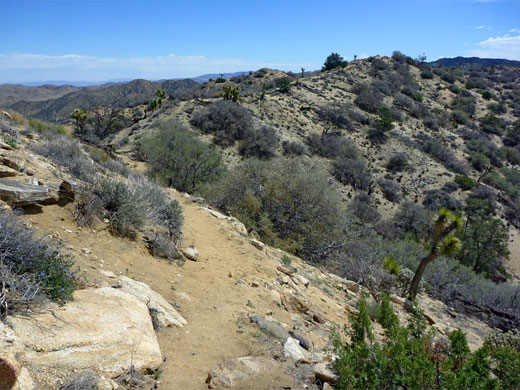Narrow ridge