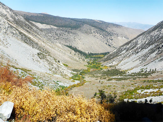 Big Pine Creek valley