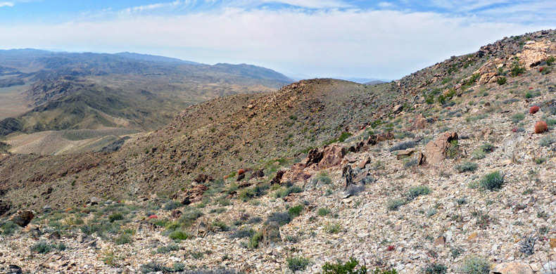 View west from the Pinto Mountain summit