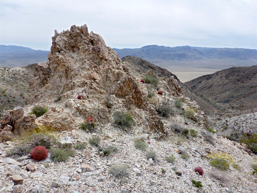 Jagged rock outcrop