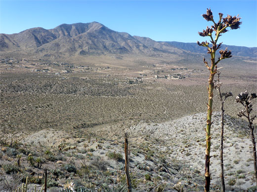 Shelter Valley