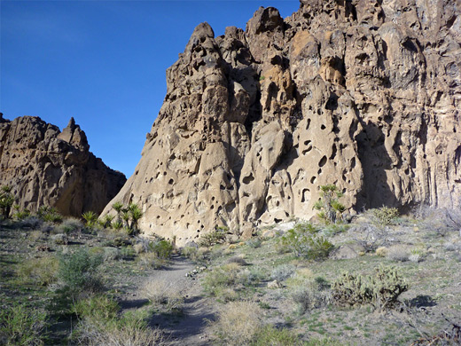 Desert below the canyon