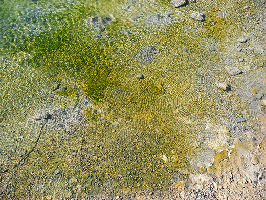 Ripples on a pool