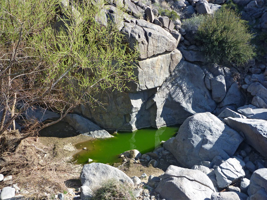 Pool and boulders