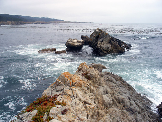 Isolated rocks at Fisk Mill Cove, Salt Point State Park