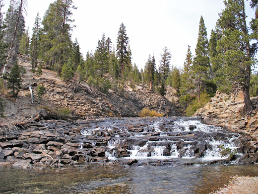 San Joaquin River, by the campsite