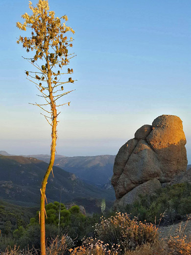 Sandstone Peak, the highest summit in the mountains