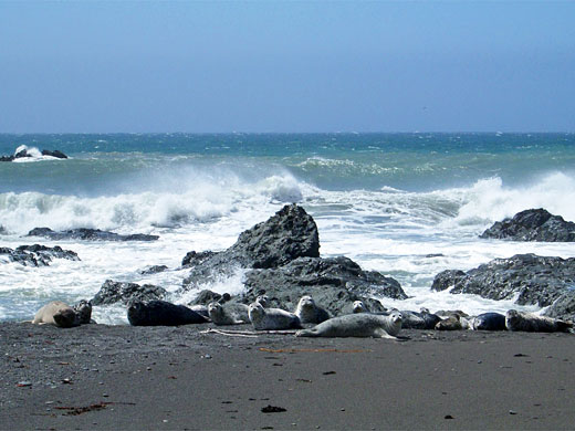 Isolated rocks