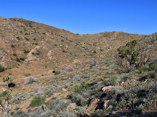 Valley below South Park Peak