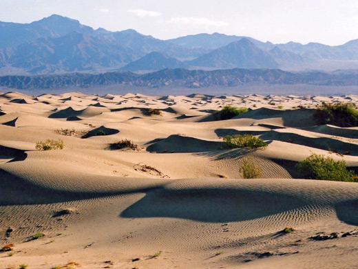 Stovepipe Dunes