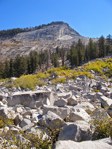 Sunrise Mountain, along the Forsyth Trail