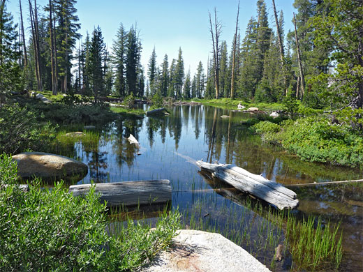 Shallow pond