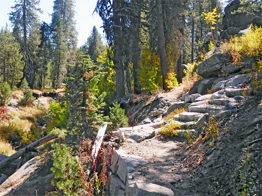 Steps along the trail