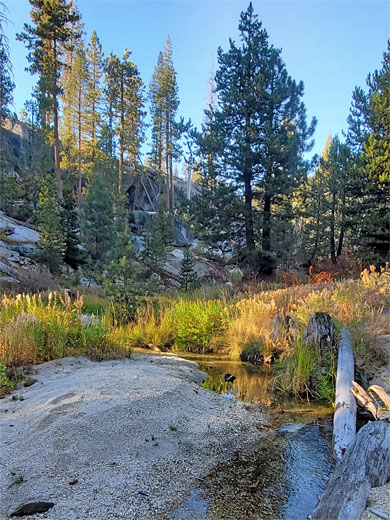 Tamarack Creek