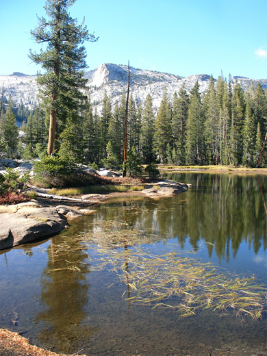 Shallow water in a pond near May Lake