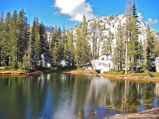 Trees lining a pond, Ten Lakes Trail