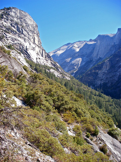 The edge of Tenaya Canyon