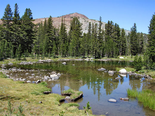 Pool near Tioga Pass