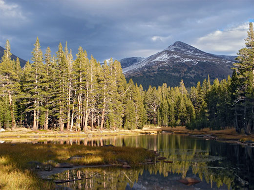 Pond by the Tioga Pass Road