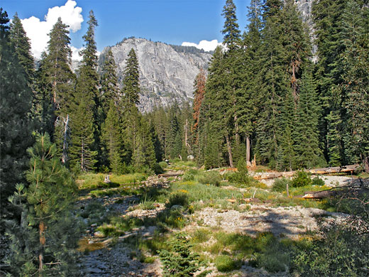 Tokopah Valley
