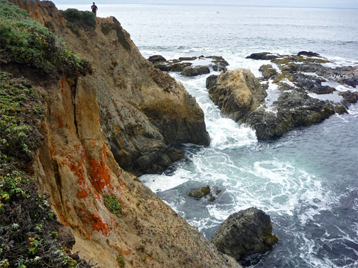 Tomales Point