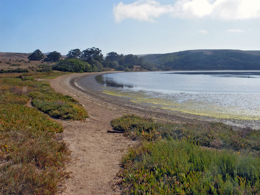 Sandy beach at Millerton Point