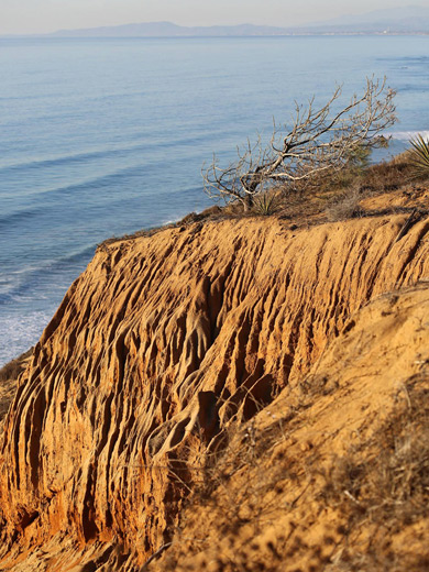 Oceanside cliff, along the Razor Point Trail