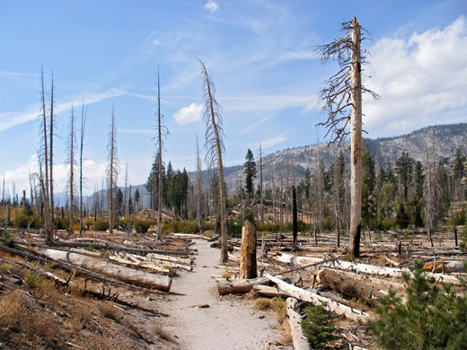 Rainbow Falls Trail