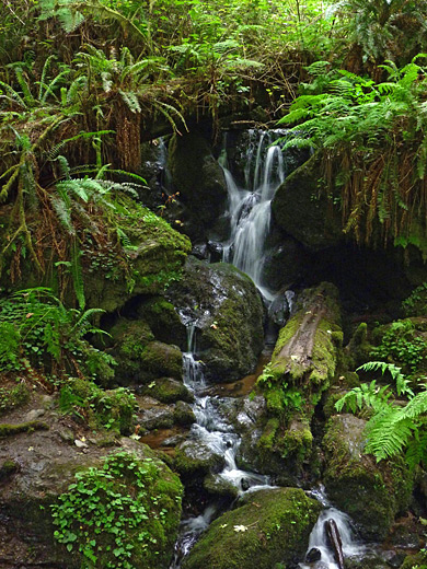 Trillium Falls