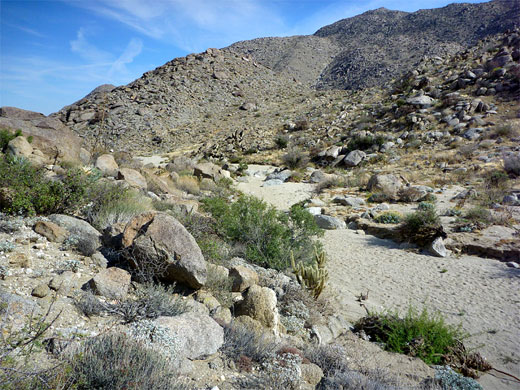 Tubb Canyon
