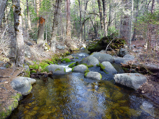 Middle Fork of the Tule River