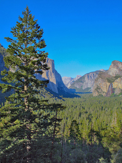Tunnel View