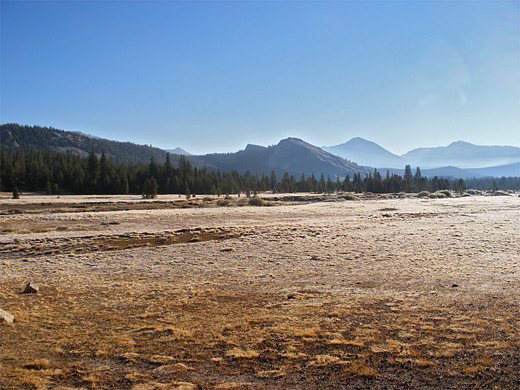 Tuolumne Meadows