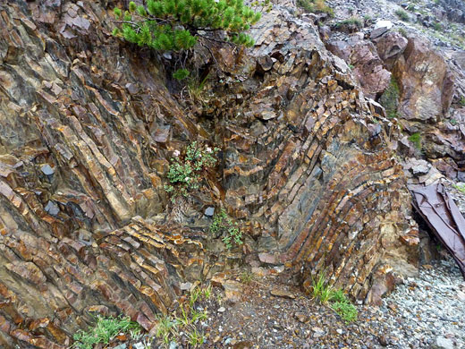Twisted strata