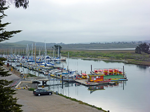 White Point Marina