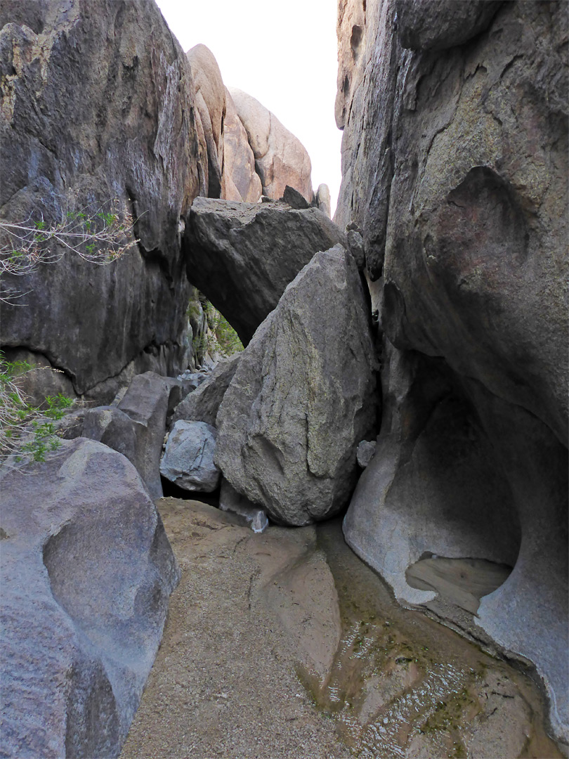 Vertical cliffs