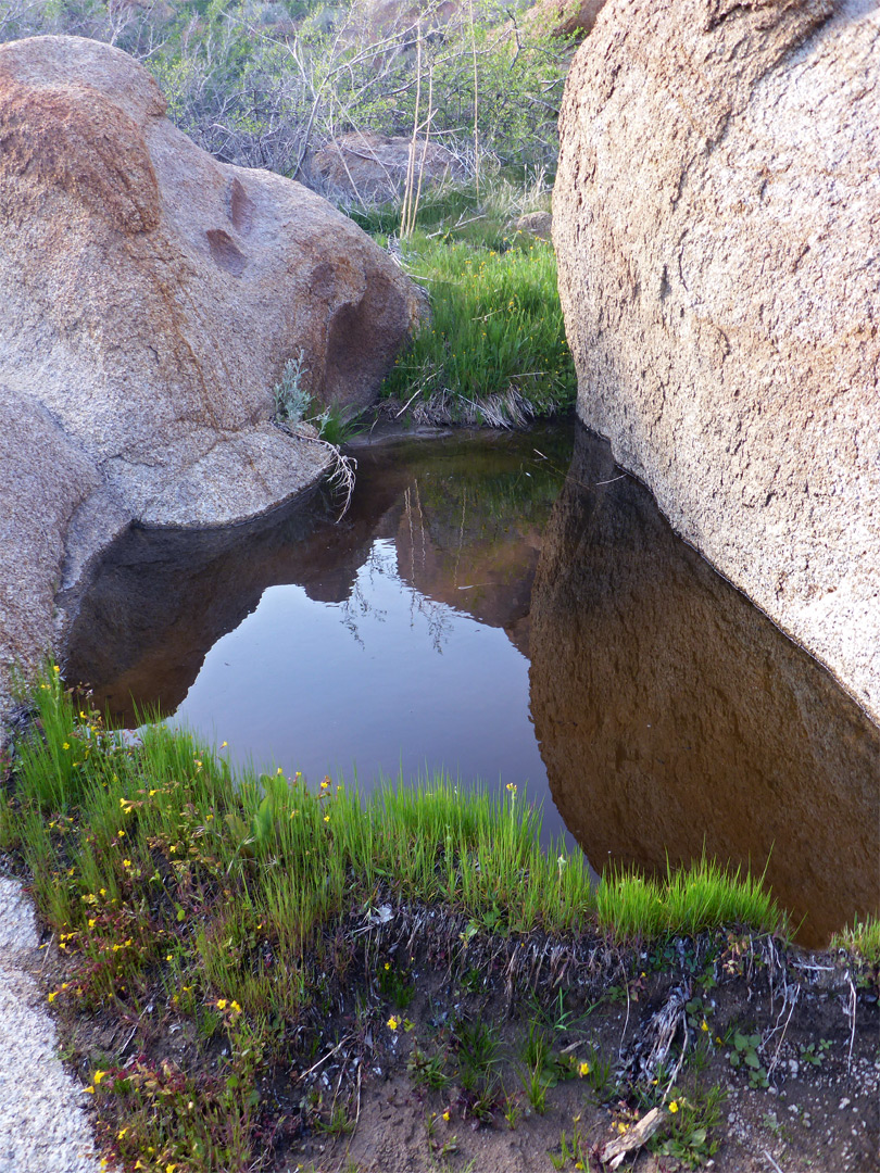 Reflections on a pool